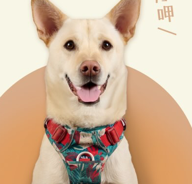 宅食光店犬呷呷